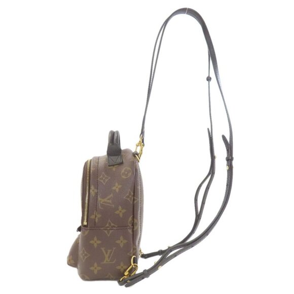 Louis Vuitton Palm Spring Mini Backpack main image 15